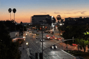 Los Angeles Cars GIF by Yevbel