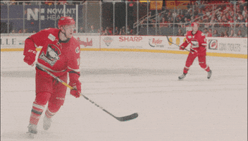 hockey GIF by Charlotte Checkers