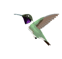 Flower Hover Sticker