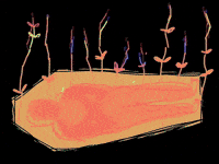 Flowers Death GIF by Barbara Pozzi