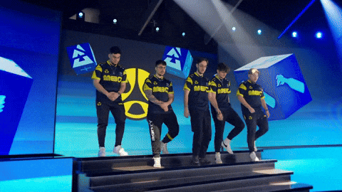 Team Esports GIF by BLAST