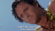 cant tell Robert Hays GIF