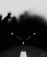 art film GIF by PEEKASSO