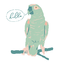 Bonjour Hello Sticker by Liligraffiti