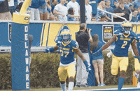 College Sports Football GIF by Delaware Blue Hens