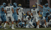 Lets Go Football GIF by Delaware Blue Hens