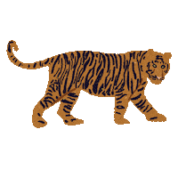 Tiger Roar Sticker