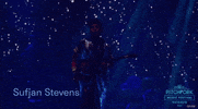pitchfork music festival GIF by Pitchfork