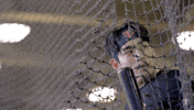 Entering Pop In GIF by San Francisco Giants
