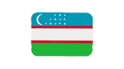 emojivid emoji flag emojivid uzbekistan Sticker