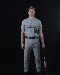 Baseball Point GIF by Purdue Fort Wayne Athletics