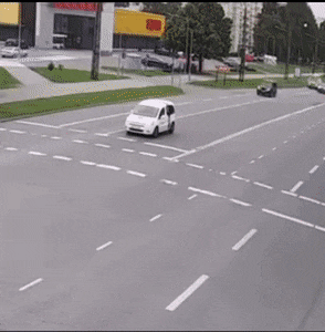 primulax giphyupload GIF