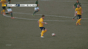 GIF by Michigan Athletics