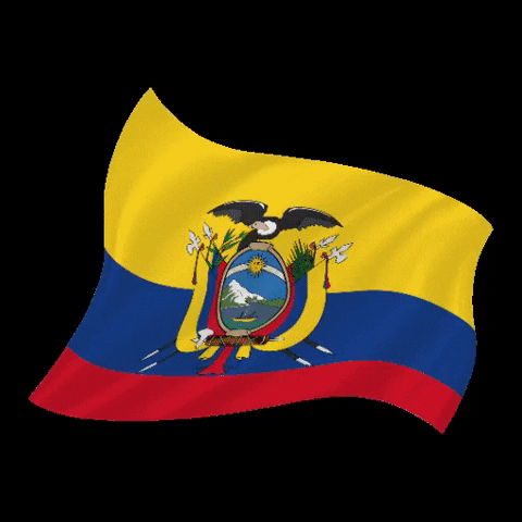 bsmartec smile ecuador orgullo escudo GIF