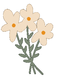 rovinya flower flowers plant bouquet Sticker
