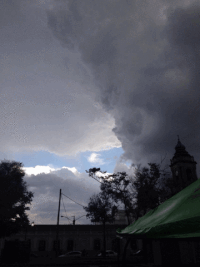 GIF by G1ft3d