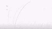 ShimadzuBenelux  GIF