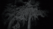Kiss Of Death Ic3Peak GIF by Database數據