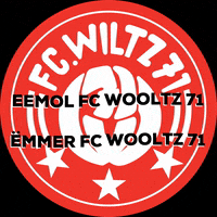 fcwooltz71 logo fcwiltz71 GIF