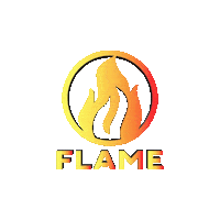Fire Show Sticker by Nova Sound