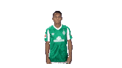 Bundesliga Felix Sticker by SV Werder Bremen