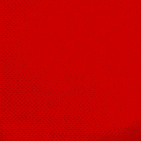 Bayer 04 Bundesliga GIF by Bayer 04 Leverkusen