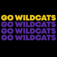 Wildcats GIF by Bethel University