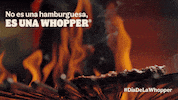 BurgerKingMx diadelawhoppermx GIF