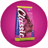 Rainbow Cats Sticker by Montego Pet Nutrition