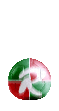 Sv Meppen Sticker by Rothkötter Unternehmensgruppe