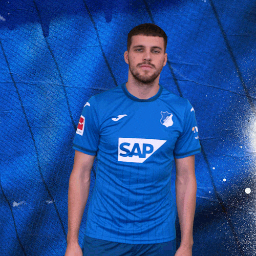 Sport Bundesliga GIF by TSG Hoffenheim