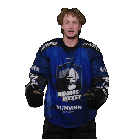 Sport Celebration Sticker by Nidaros Hockey