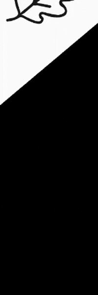 GIF by Atmosfera Bubble Glamping