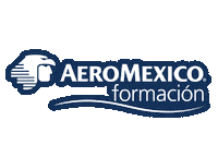 Plane Escuela Sticker by Aeromexico Formación