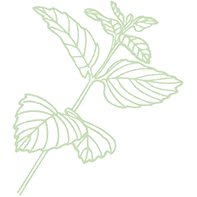 WeingutTuerk melisse juzzz Sticker