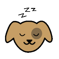 respekTiere dog animal dogs sleepy Sticker