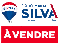 ManuelSilvaRemax remax manuel silva Sticker
