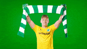Fans Cheer On GIF by SpVgg Greuther Fürth