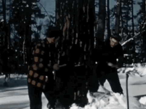 Work Teamwork GIF by Archives of Ontario | Archives publiques de l'Ontario