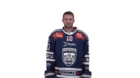 Celebration Goal GIF by Fehervar AV19