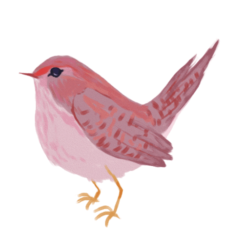 Little King Bird Sticker