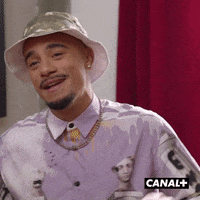 Tik Tok Lol GIF by CANAL+