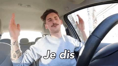 Vous Etes Vraiment Sympa I Say Yes GIF by Youdeo