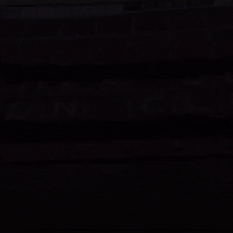 forÃ§abarÃ§a GIF by FC Barcelona