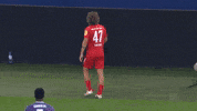Kiel Ahoi GIF by Holstein Kiel