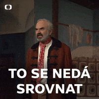 Ne Ceskatelevize GIF