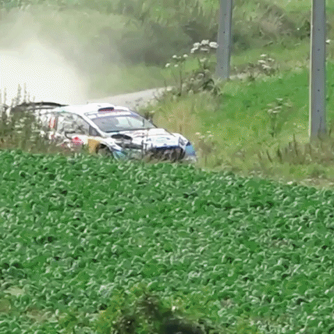 GIF by Red Bull