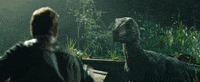 Run Wow GIF by Jurassic World