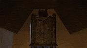 Evil GIF by Paramount+