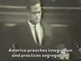 Malcolm X GIF by GIPHY News